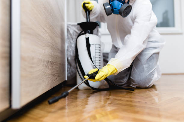 Best Cockroach Control Services  in South Lyon, MI