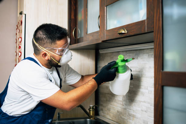 Best Wildlife Control Services  in South Lyon, MI