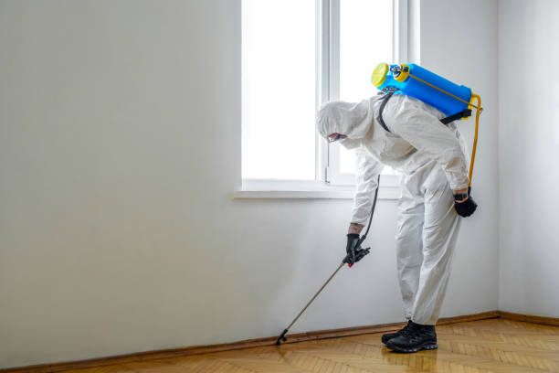 Best Pest Removal Services  in South Lyon, MI