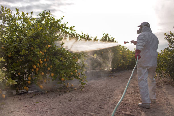 Best Affordable Pest Control Services  in South Lyon, MI