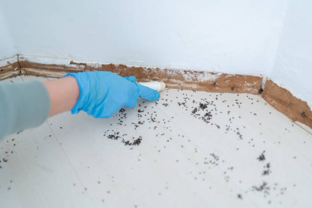 Best Commercial Pest Control Services  in South Lyon, MI